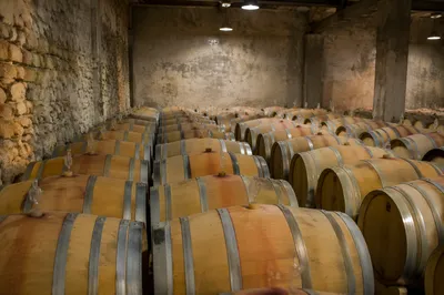 Underground Wine Cellar with Oak Barrels
