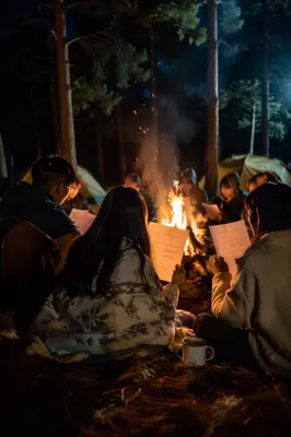 Campfire Gathering in Pine Forest Night