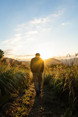 Early Morning Prayer Walk Through Wild Grass