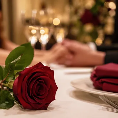 Romantic Anniversary Dinner Rose at Restaurant