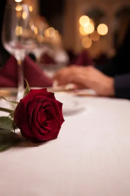 Romantic Anniversary Dinner Rose at Restaurant