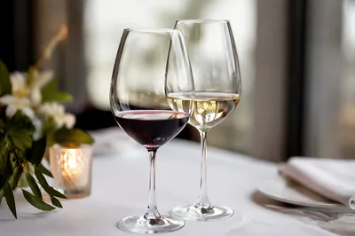 Romantic Anniversary Dinner Wine Glass Toast