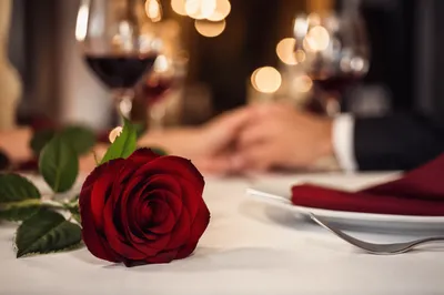 Romantic Anniversary Dinner Rose at Restaurant