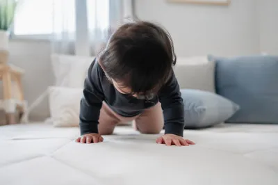 Playful Baby Crawling in Soft Morning Light
