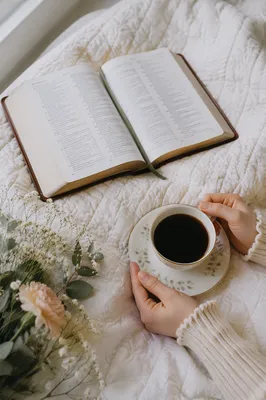 Morning Bible Devotion with Coffee by Window