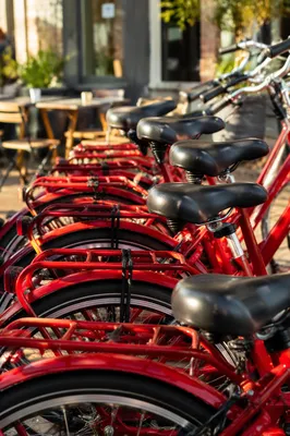 Red City Bicycles Outside Sunny Cafe