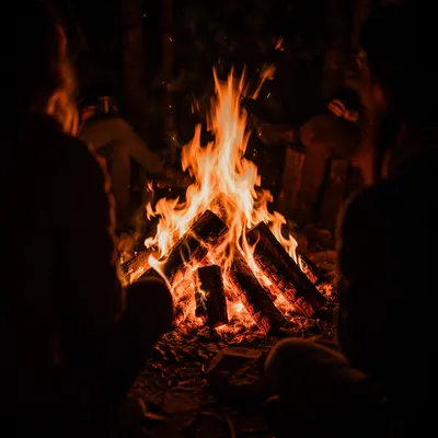 Cozy Night Campfire Circle Gathering