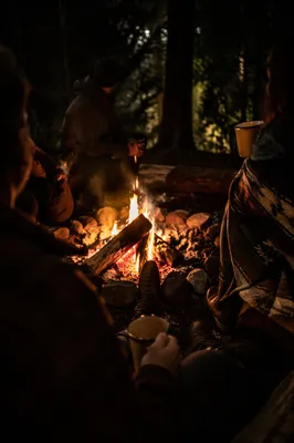 Friends Around Campfire in Forest Night