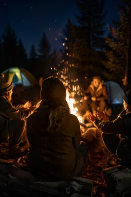 Friends Around Campfire in Forest Night