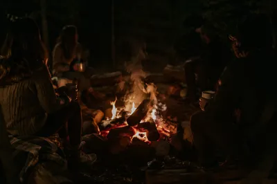 Friends Around Campfire in Forest Night