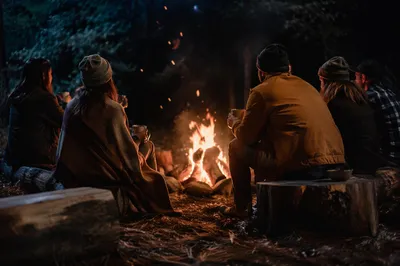 Friends Around Campfire in Forest Night