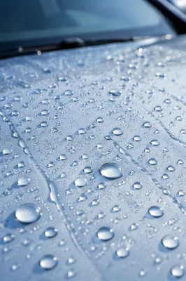 Fresh Water Beads on Clean Car Hood