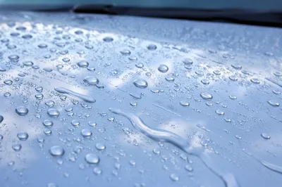 Fresh Water Beads on Clean Car Hood