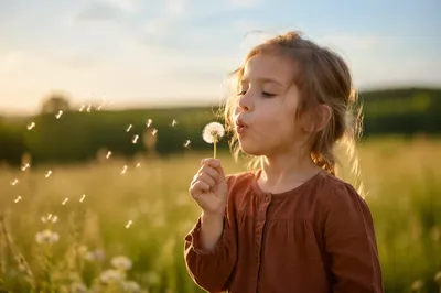 Child Blowing Dandelion in Summer Meadow