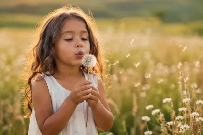 Child Blowing Dandelion in Summer Meadow