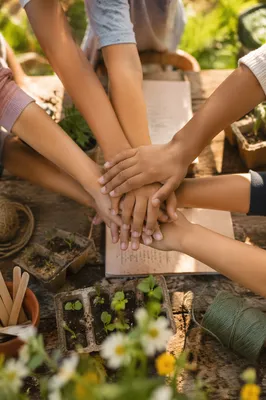 Children Hands Stacked for Garden Teamwork