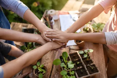 Children Hands Stacked in Garden Teamwork