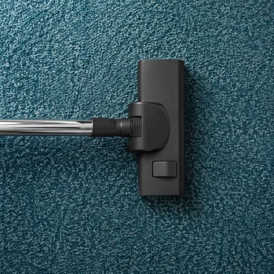 Vacuum Head on Teal Carpet