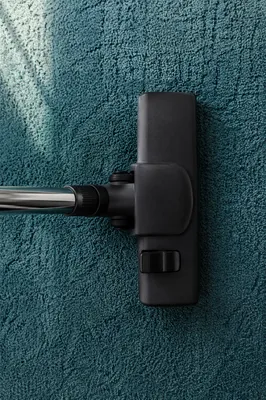 Vacuum Cleaner on Teal Carpet