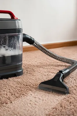 Modern Home Cleaning Setup on Carpet