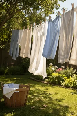 Sunlit Backyard Laundry in Summer Breeze