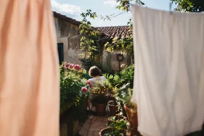 Sunlit Backyard Laundry in Gentle Breeze