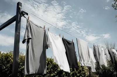 Sunlit Backyard Laundry in Gentle Breeze