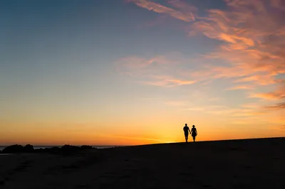 Romantic Couple Silhouette Walking at Sunset