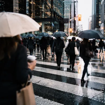 Rainy Downtown Crosswalk Morning Commute