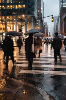 Rainy Downtown Crosswalk at Rush Hour