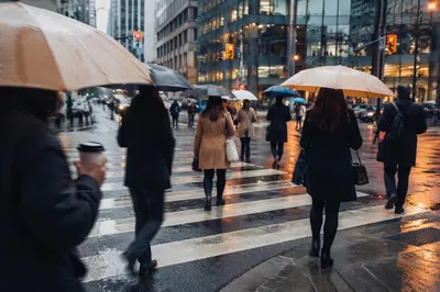 Rainy Downtown Crosswalk Morning Commute