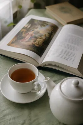 Tea Cup and Open Book Still Life