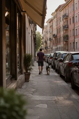 Dog Walking Along Quiet Neighborhood Sidewalk
