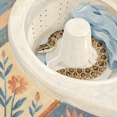 Curious Pet Snake in Washing Machine