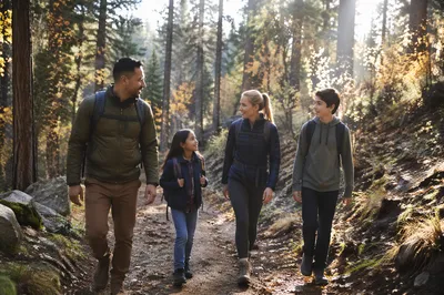 Family Hiking Forest Trail in Autumn