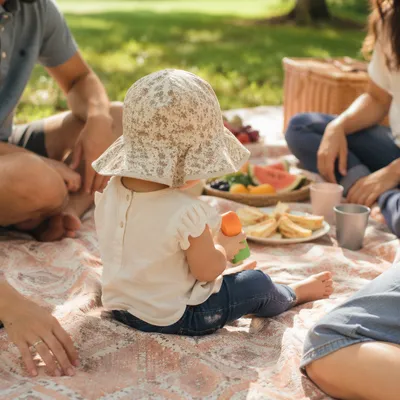 Sunny Family Picnic on Park Blanket