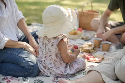 Sunny Family Picnic in Park Blanket