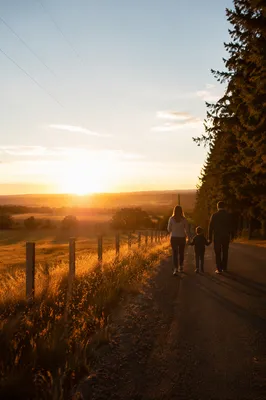 Family Walk on a Sunset Country Road