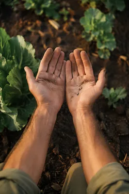 Farmer Hands Praying Over Seeds and Soil