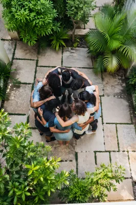 Overhead Friends Group Hug in Garden
