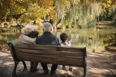 Grandparents with Grandchildren on Park Bench