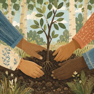 Diverse Hands Planting a Young Tree