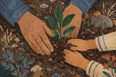 Hands Together Planting a Young Sapling