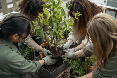 Diverse Hands Planting a Balcony Sapling