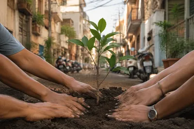 Community Hands Planting Young Tree