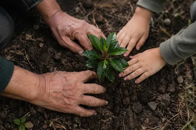 Generations Planting a Young Tree Together