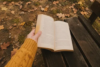 Quiet Autumn Reading Beside Wooden Bench