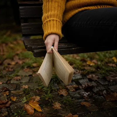 Open Book on Autumn Park Bench