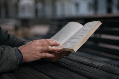 Hands Reading Paperback on Park Bench