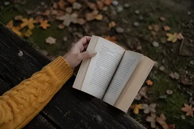 Autumn Reading Beside Wooden Park Bench